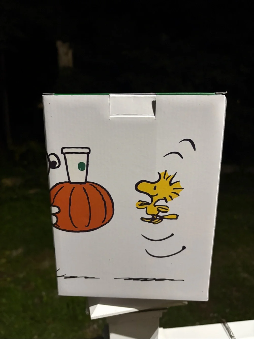 Starbucks Peanuts Snoopy collab Fall 2026 Plush Stuffed Animal Boxed New in Box